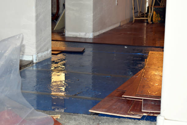 Professional Basement Flood Cleanup technician working in Wheatland, OK